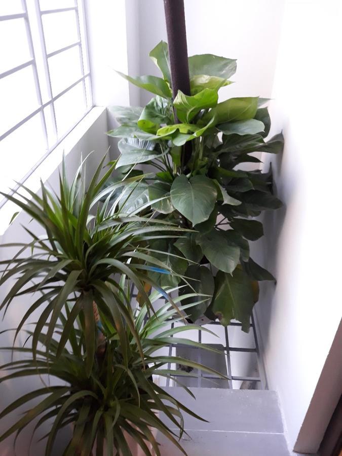 Blue Home Serviced Apartment Hanoi Exterior foto
